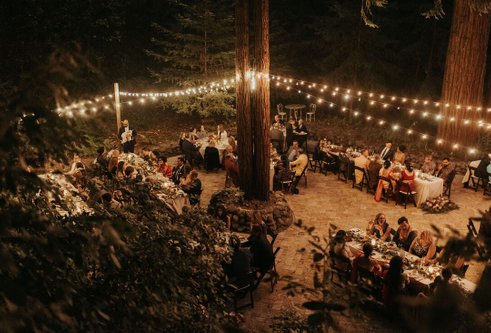 romantic lighting in the forest over the reception dinner in the redwood trees