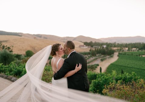 Sunset photo of wedding couple at Viansa Sonoma overlooking the vineyards with swooping veil. 